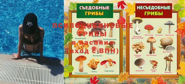 молекула духа Алексеевка