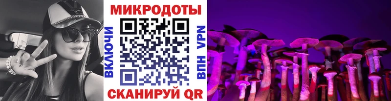 Галлюциногенные грибы Psilocybe цены наркотик Кингисепп