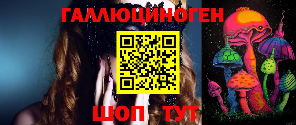 Кингисепп  Галлюциногенные грибы мицелий  Вход с VPN 