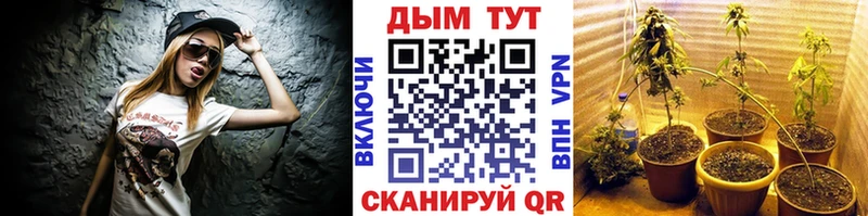 Бошки марихуана AK-47  маркетплейс формула  Кингисепп 